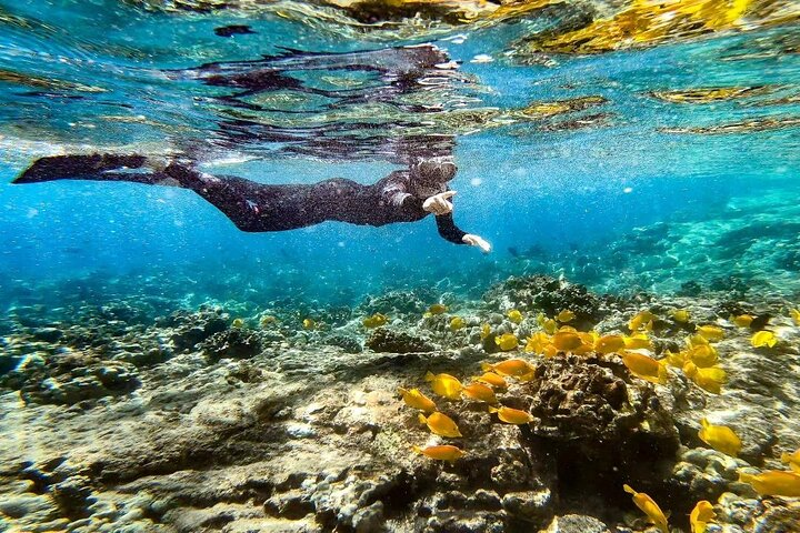 Two Reef Snorkel Trip-See Captain Cook Monument & Sea Caves - Photo 1 of 14